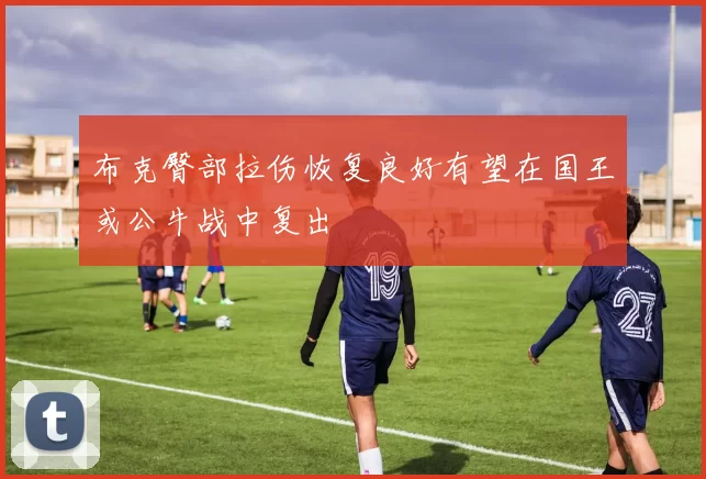 布克臀部拉伤恢复良好有望在国王或公牛战中复出